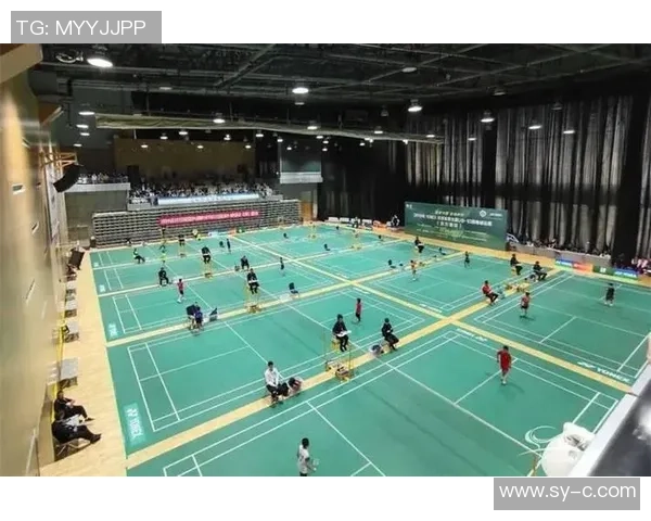 上海羽毛球队逆袭之旅揭秘从低谷到巅峰的奋斗历程与荣耀时刻